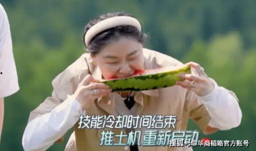 娱乐吃瓜地背后是谁,是谁在操控娱乐圈风云？